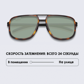 ВАЛЬТЕР / WALTER Ti